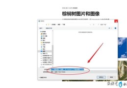 整个网页图片一键保存(页面保存快捷键是什么)