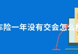 车险一年没有交会怎么样