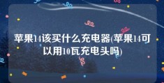 苹果14该买什么充电器(苹果14可以用10瓦充电头吗)