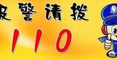 如何正确使用110报警？(报警电话直接打110吗)