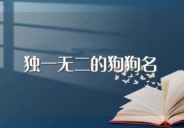 独一无二的狗狗名(独一无二的狗狗名字有哪些)