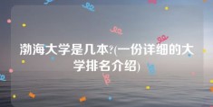 渤海大学是几本?(一份详细的大学排名介绍)