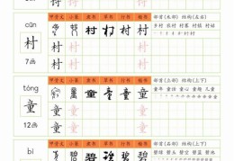 中国汉字大全所有字进化史(汉字的演变过程图片)