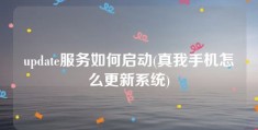 update服务如何启动(真我手机怎么更新系统)