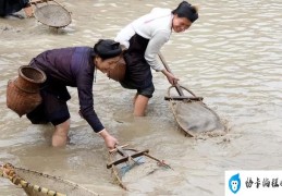 过去很少人看得上的6种小杂鱼(如今却成了香饽饽)