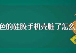 有颜色的硅胶手机壳脏了怎么清洗(硅胶手机壳脏了怎么清洗)