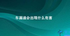 车漏油会出现什么危害(车漏油的危害及应对方法)