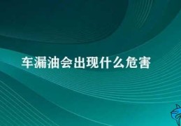 车漏油会出现什么危害(车漏油的危害及应对方法)