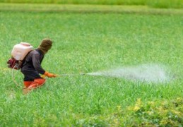 野麦子除草剂最佳温度(10度以下能打除草剂吗)