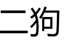 重庆话二狗的含义(二狗是什么意思网络用语)