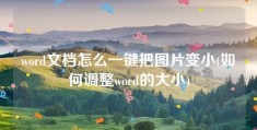 word文档怎么一键把图片变小(如何调整word的大小)