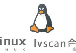 Linux中lvscan命令怎么用