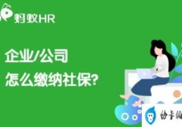 公司社保缴纳流程(公司社保怎么交)