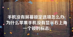 手机没有屏幕锁定选项怎么办(为什么苹果手机没有显示右上角一个锁的标志)