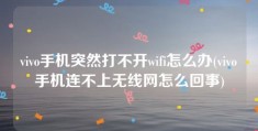 vivo手机突然打不开wifi怎么办(vivo手机连不上无线网怎么回事)