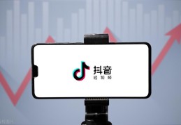 电脑上如何安装抖音（抖音可以在电脑上用吗）