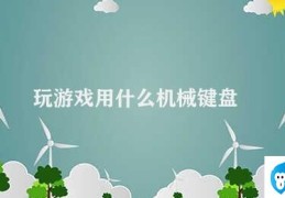 玩游戏用什么机械键盘(机械键盘种类与游戏类型需搭配使用)