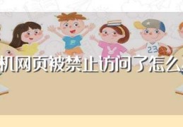 手机网页被禁止访问了怎么办(手机网页被禁止访问了怎么解决)