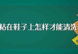 落叶粘在鞋子上怎样才能清洗干净(怎样把落叶粘在鞋子上的东西洗干净)