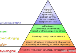 五个需求包括什么(马斯洛需求理论是什么)