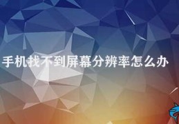 手机找不到屏幕分辨率怎么办(手机找不到屏幕分辨率怎么办)