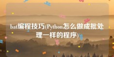 bat编程技巧(Python怎么做成批处理一样的程序)