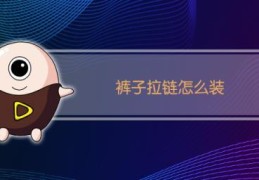 裤子拉链一边掉了怎么装上(裤子拉链装法)