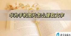 华为手机如何提取图片文字(华为手机提取文字的两种方法)