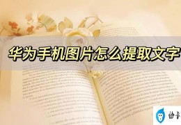 华为手机如何提取图片文字(华为手机提取文字的两种方法)