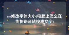 css修改字体大小(电脑上怎么在线将语音转换成文字)