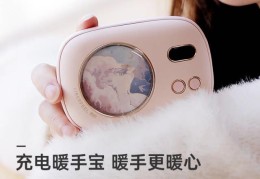 电暖手宝什么牌子好（暖手宝品牌排行榜）