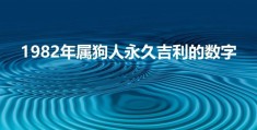 1982年属狗招财数字(1982年属狗人永久吉利的数字)