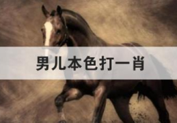 男儿本色打一肖(最有男儿本色的三大生肖)