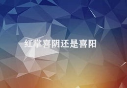 红掌喜阴还是喜阳(红掌适应多变环境的能力)