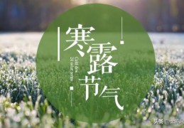 二十四节气寒露的介绍(寒露节气的含义是什么)