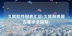 久其软件报表汇总(久其报表是否要求全国报)