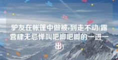 驴友在帐篷中做被c到走不动(露营肆无忌惮叫吧唧吧唧的一进一出)