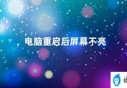 电脑重启后屏幕不亮(电脑屏幕无法显示的解决方法)