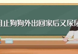 如何阻止狗狗外出回家后又尿尿的行为(阻止狗狗外出回家后又尿尿的行为方法)