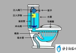 抽水马桶工作原理是怎么样(抽水马桶内部结构)