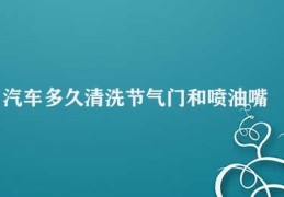 汽车多久清洗节气门和喷油嘴(汽车节气门、喷油嘴保养清洗)