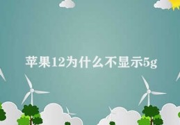 苹果12为什么不显示5g(苹果12支持4G网络的原因)