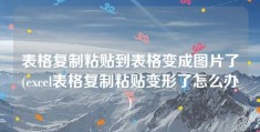 表格复制粘贴到表格变成图片了(excel表格复制粘贴变形了怎么办)