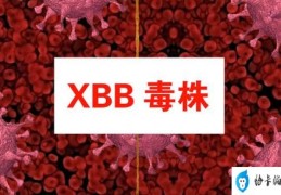 钟南山:能覆盖XBB的疫苗很快面世