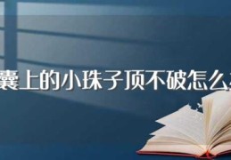 墨囊上的小珠子顶不破怎么办(墨囊上的小珠子顶不破怎么解决)