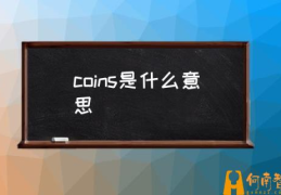 快手300kscoin是什么？(coins是什么意思)