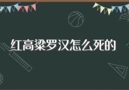 红高粱罗汉怎么死的(红高粱罗汉是什么人)