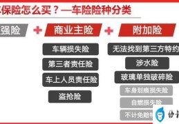 车险怎么买最划算买这四种就够了(避过车险购买的那些坑)