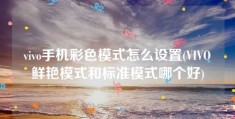 vivo手机彩色模式怎么设置(VIVO鲜艳模式和标准模式哪个好)