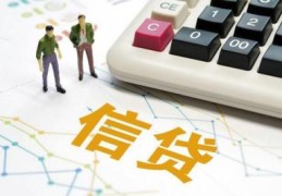 个人信用贷款是什么(什么是信用贷款)